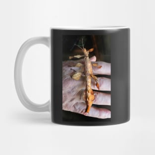 Macleay's Spectre Stick Insect Mug